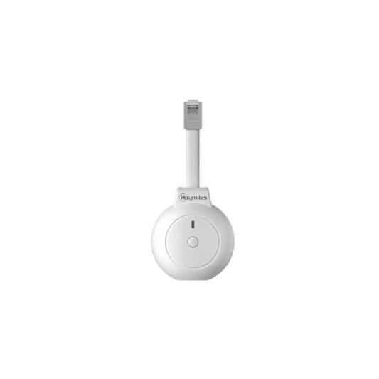Hoymiles P1 Meter